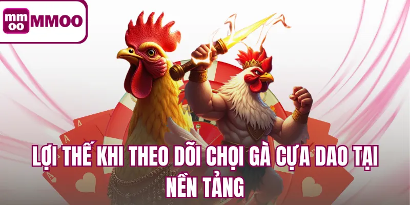 Lợi thế khi theo dõi chọi gà cựa dao tại nền tảng