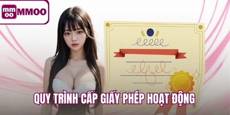 Quy trình cấp giấy phép hoạt động từ tổ chức uy tín